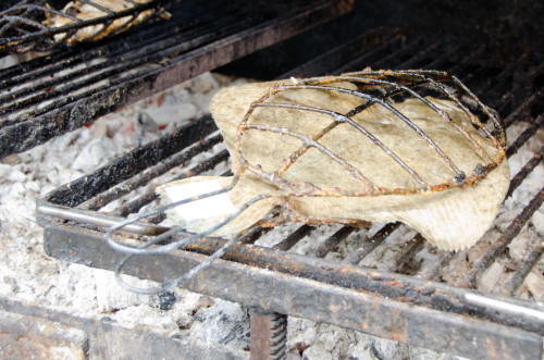 Grilling Turbot